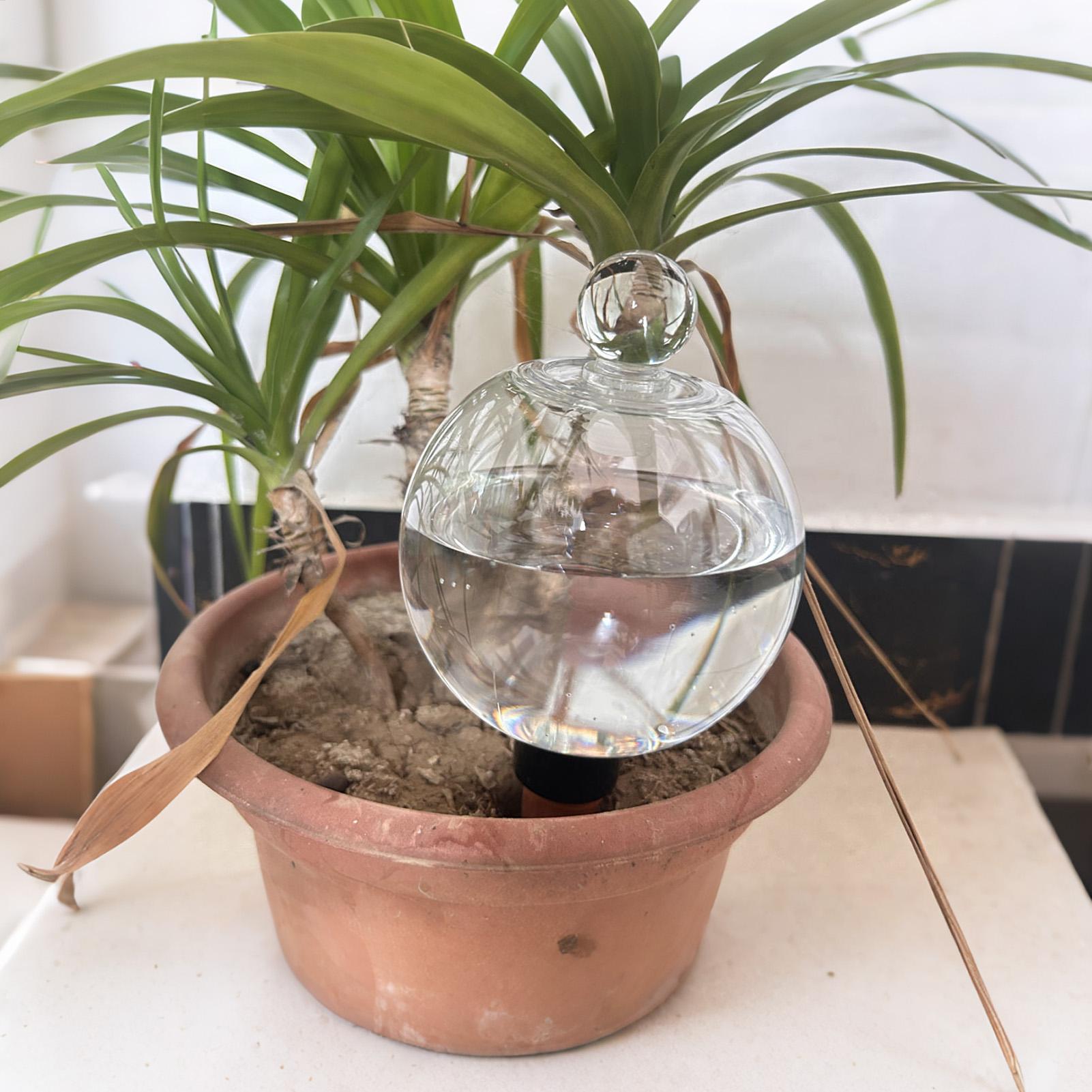 Plant Watering Bulbs 4pcs 500m - огляд і ціна Self Watering Planter