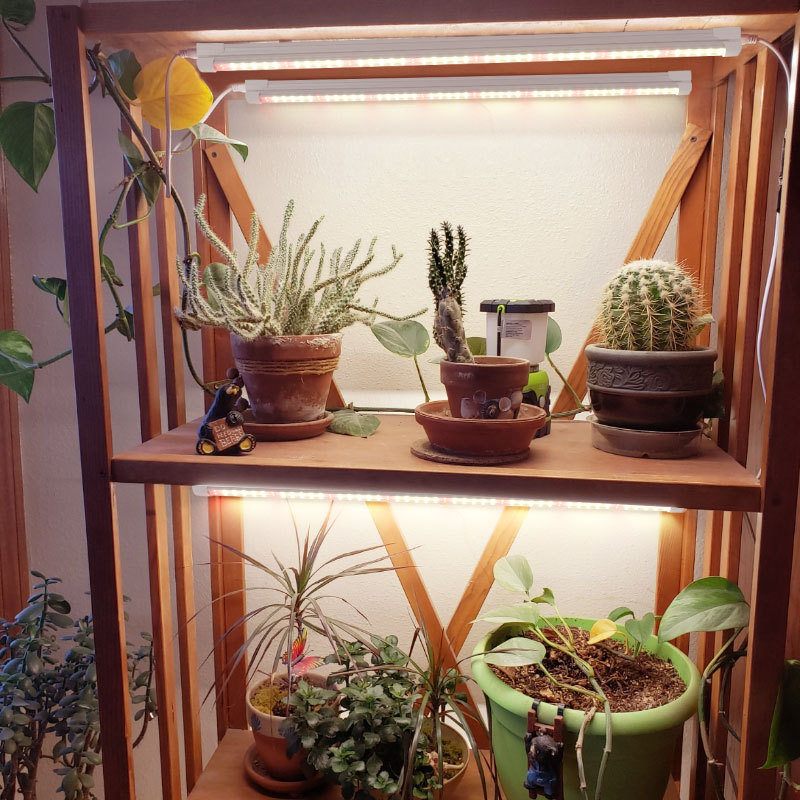 Indoor Green Plant Supplement  - огляд і ціна Plant Grow Light Full Spectrum