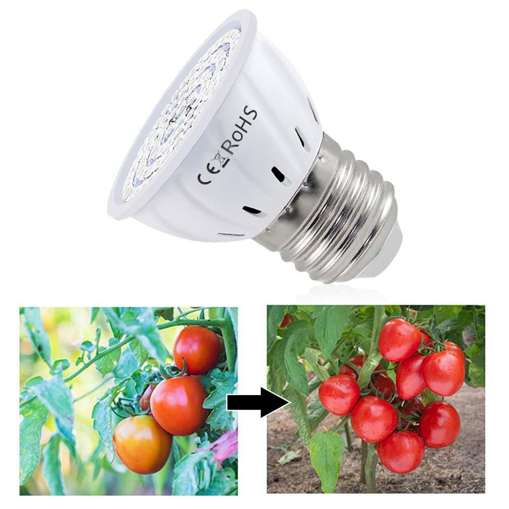 LED Grow Bulb E27 60 80LEDs Fu - огляд і ціна Plant Grow Light Full Spectrum