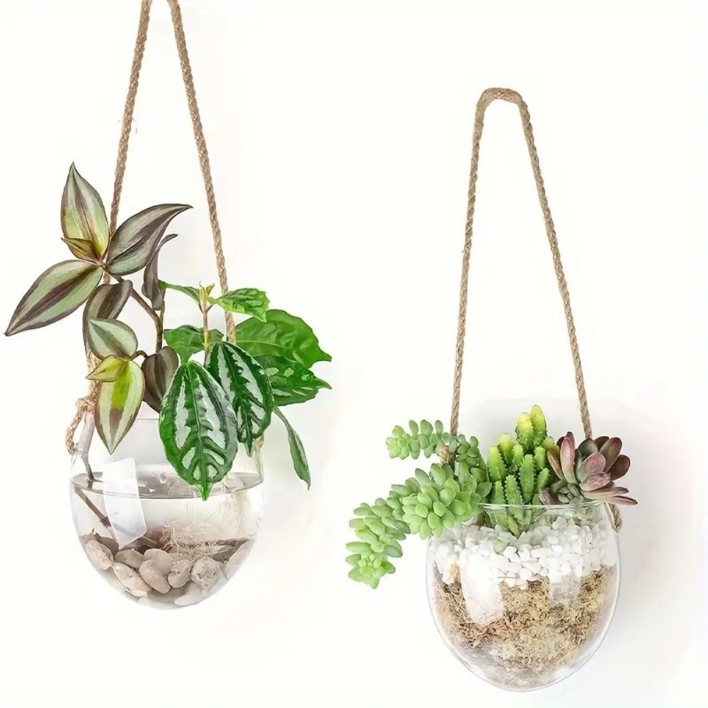 Transparent Hydroponic Hanging - огляд і ціна Hydroponic Grow Pod
