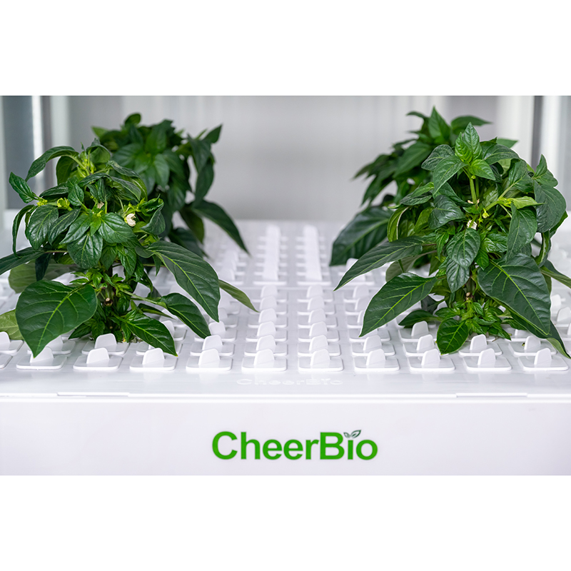 New   Intelligent Planting Sys - огляд і ціна Smart Garden System