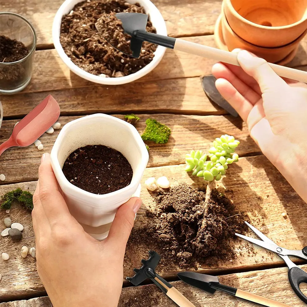 13PCS Succulent Plants Tool Se - огляд і ціна Indoor Garden Kit