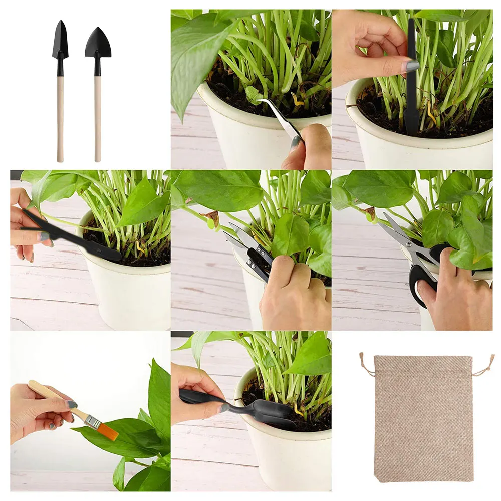 13PCS Succulent Plants Tool Se - огляд і ціна Indoor Garden Kit